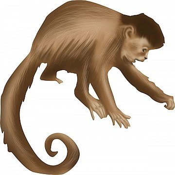 Stand Cutlite do Brasil