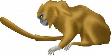 Stand Cutlite do Brasil