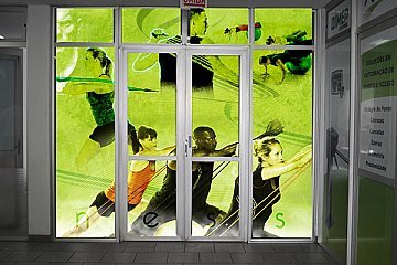 Wellness Treinamento