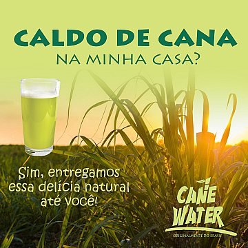 Identidade visual Cane Water