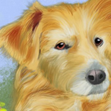 Dog Paint