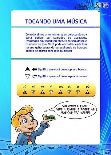 Ilustração e Design de Livro Musical Hering SHG