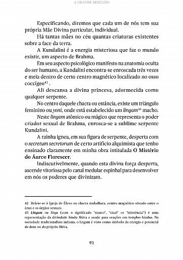 Livro: A grande rebelião