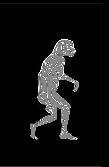 Money Sapiens Guia da bolsa de valores