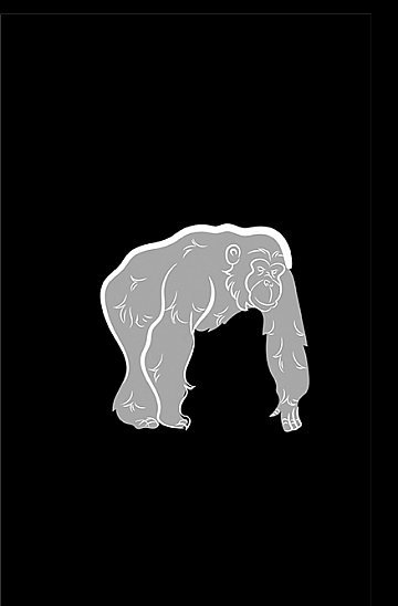 Money Sapiens Guia da bolsa de valores