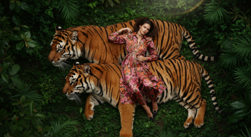 Vídeo institucional (conceitual) Gucci