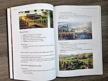 IMAGENS GASTRONÔMICAS