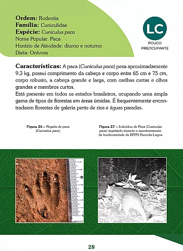 Guia de mamíferos da RPPN Fazenda Lagoa