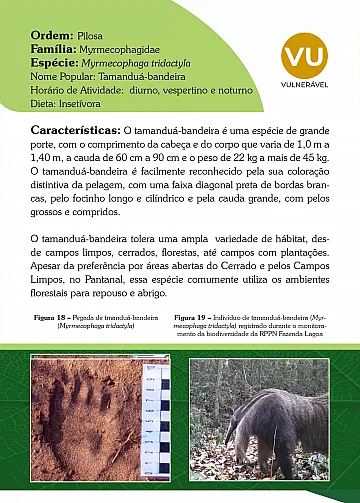 Guia de mamíferos da RPPN Fazenda Lagoa