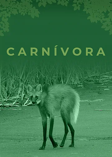 Guia de mamíferos da RPPN Fazenda Lagoa