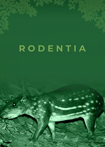 Guia de mamíferos da RPPN Fazenda Lagoa