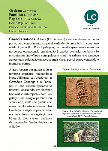 Guia de mamíferos da RPPN Fazenda Lagoa